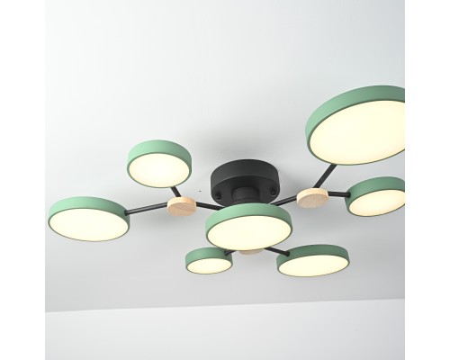 Потолочная люстра GAMMA D88 Green