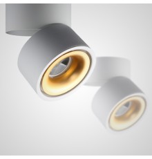 Потолочный светильник AGENDA White+Gold 10W ImperiumLoft