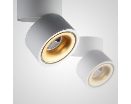 Потолочный светильник AGENDA White+Gold 10W ImperiumLoft