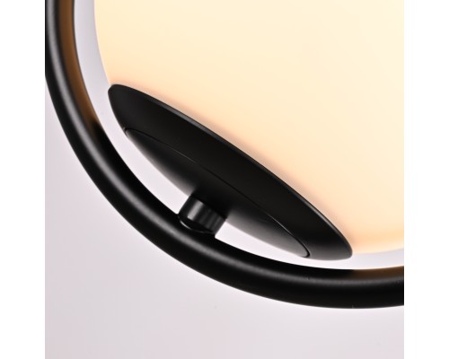 Подвесной светильник HOOP DROP Black ImperiumLoft