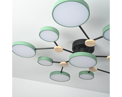 Потолочная люстра GAMMA D102 Green