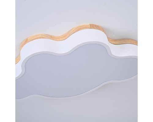 Потолочный светильник CLOUD ECO D50 White ImperiumLoft