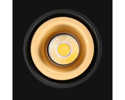 Потолочный светильник AGENDA black+gold 10W ImperiumLoft