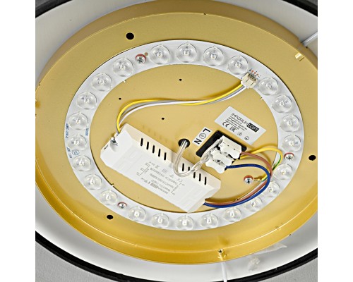 Потолочный светильник VEDUM D36