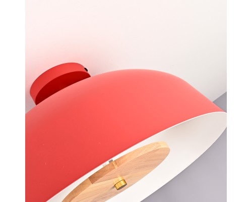 Потолочный светильник GLOBEMI RED D38 ImperiumLoft