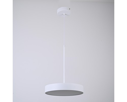 Подвесной светильник TURNA ONE D30 White by ImperiumLoft