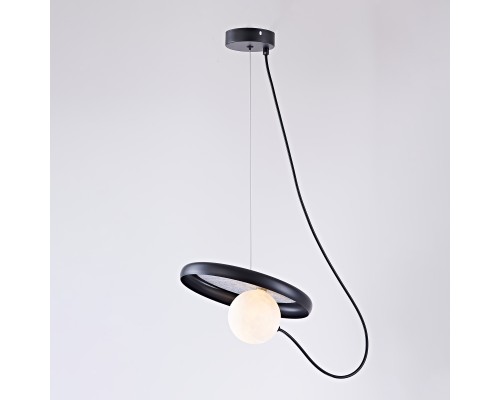 Подвесной светильник MARGOTT D25 Black ImperiumLoft