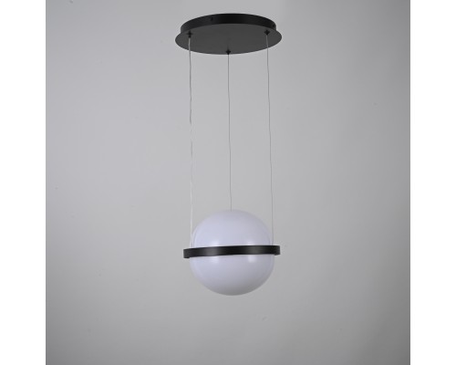 Подвесной светильник PALMA lamp Шар