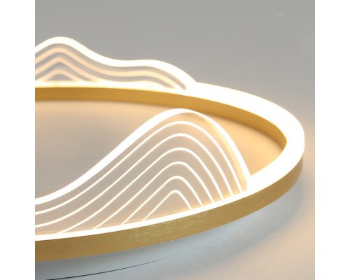 Потолочный светильник IZELIN D50 Black