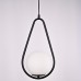 Подвесной светильник HOOP DROP Black ImperiumLoft