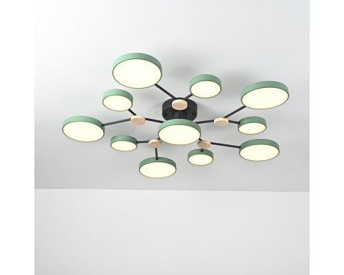 Потолочная люстра GAMMA D102 Green