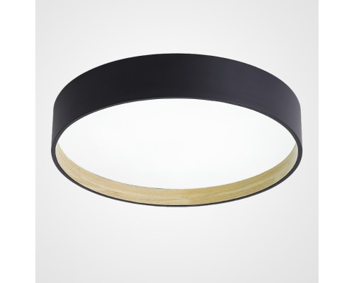 Потолочный светильник NETTY D40 Black