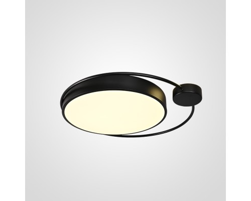 Потолочный светильник DESTIN D50 Black ImperiumLoft