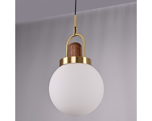 Подвесной светильник Arc Globe Шар D20 ImperiumLoft