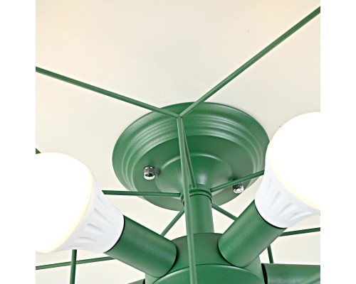 Потолочная люстра ASTERI Green