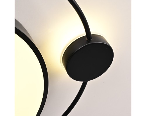 Потолочный светильник DESTIN D50 Black ImperiumLoft