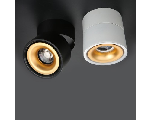 Потолочный светильник AGENDA black+gold 10W ImperiumLoft