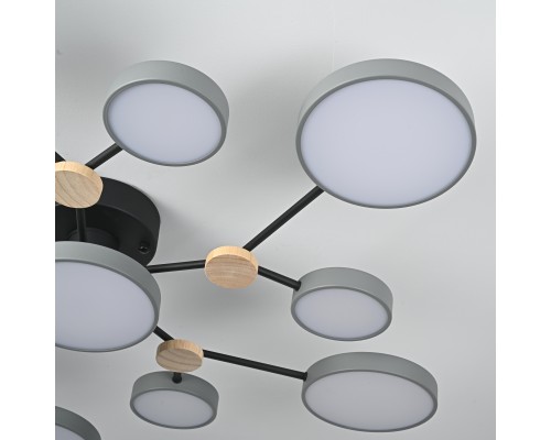 Потолочная люстра GAMMA D102 Grey