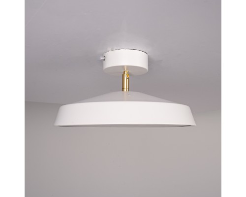 Потолочный светильник BIRK D30 White ImperiumLoft