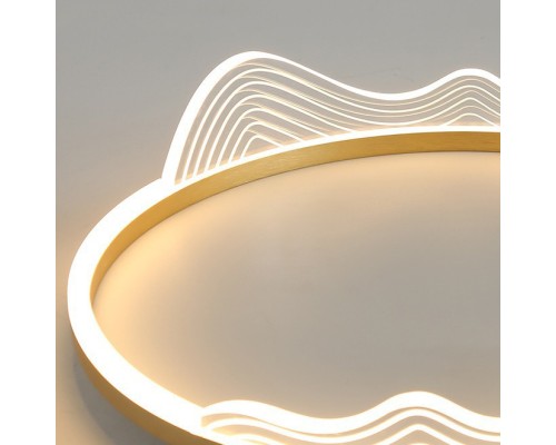 Потолочный светильник IZELIN D50 Black