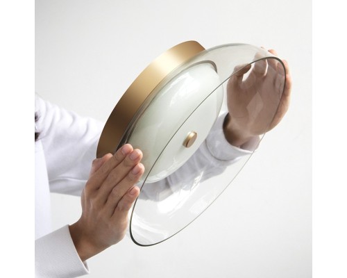 Потолочный светильник CLARITY A ImperiumLoft