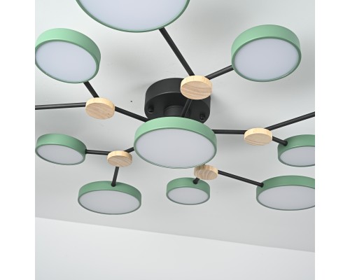 Потолочная люстра GAMMA D102 Green