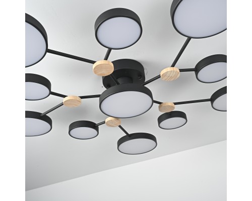 Потолочная люстра GAMMA D102 Black