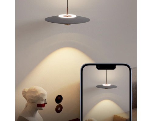 Подвесной светильник Orbit Black ImperiumLoft