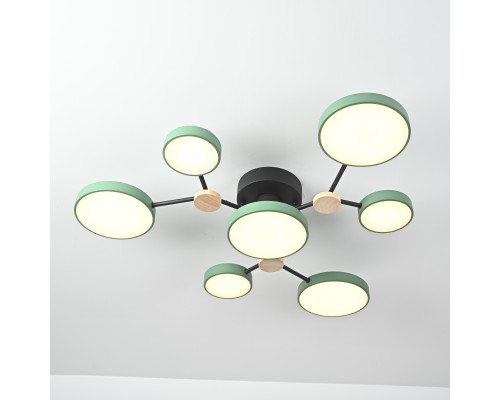 Потолочная люстра GAMMA D88 Green