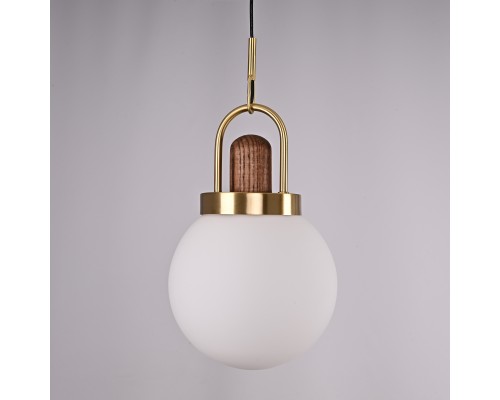 Подвесной светильник Arc Globe Шар D20 ImperiumLoft