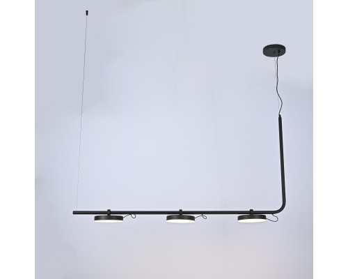 Подвесной светильник CARY-LONG ImperiumLoft