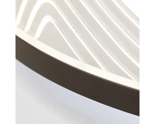 Потолочный светильник IZELIN D50 Black