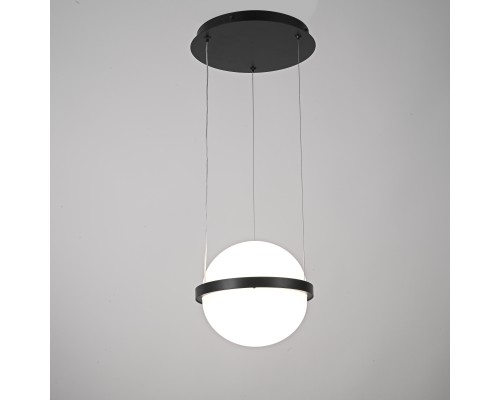 Подвесной светильник PALMA lamp Шар
