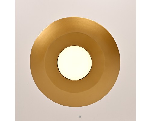 Подвесной светильник RASK ImperiumLoft