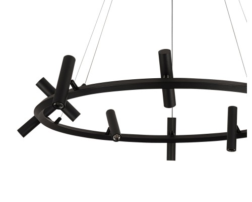 07613-10A,19 Люстра Верония черный Led 30W