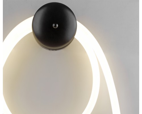 08041-2,19 Настенный светильник Далия черный