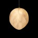 10531D Подвесной светильник LOFT IT Fionora