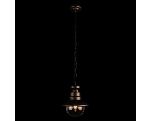 100022P Уличный подвесной светильник LOFT IT Piemonte