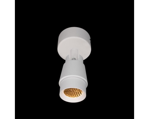 10330/A White Накладной светильник LOFT IT Comb