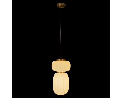 10422/B Подвесной светильник LOFT IT Duff