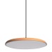 10119 Orange Подвесные светильники LOFT IT Plato