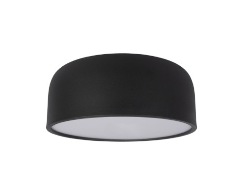 10201/350 Black Потолочные светильники LOFT IT Axel