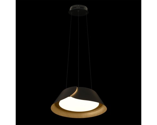 10370P Black Подвесной светильник LOFT IT Lane