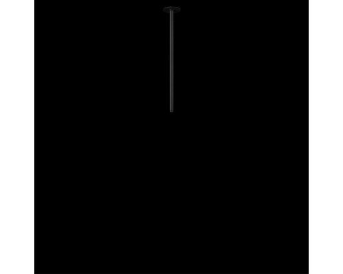 10359/500 Black Потолочный светильник LOFT IT Cane