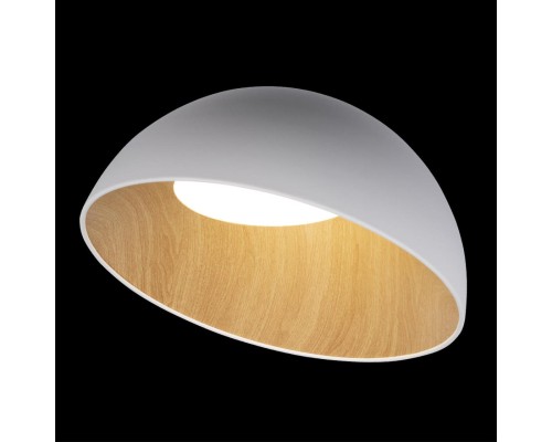 10197/500 White Потолочные светильники LOFT IT Egg