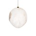 10531D Подвесной светильник LOFT IT Fionora