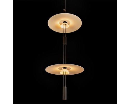 10598A Подвесной светильник LOFT IT Flamingo