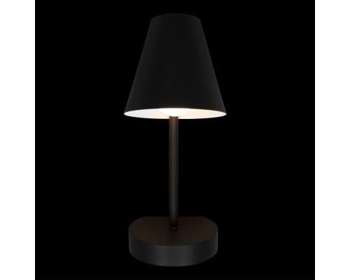 10216/1W Black Настенный светильник LOFT IT Shelf