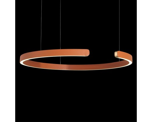 10025/600 Orange Светильник подвесной LOFTIT Ring