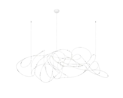 10309/31 CR Подвесной светильник LOFT IT Flock of Light